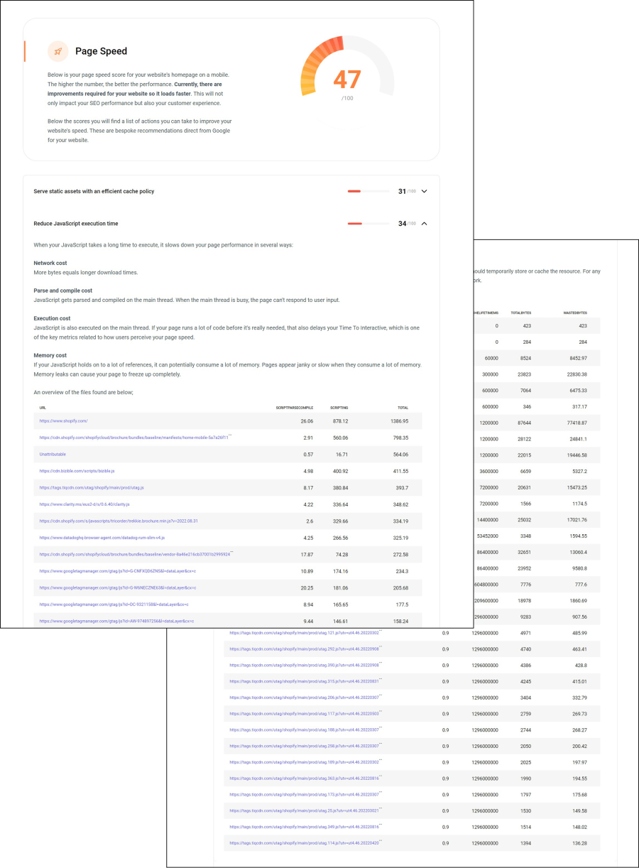 Page Speed SEO Report